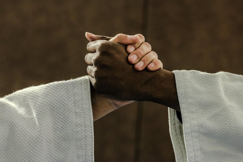 Judo Techniques